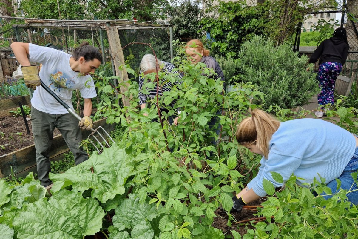Volunteers at Good to Grow Day 2023. Credit: Cranbrook Community Food Garden