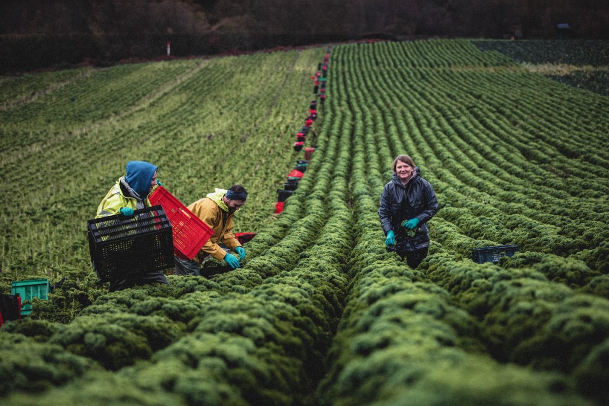 Riverford farmers. Copyright: Riverford