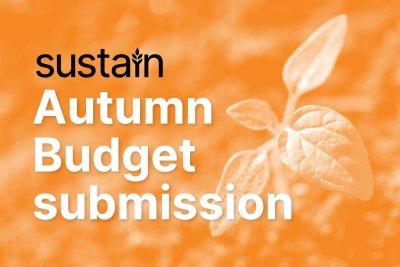 Sustain Autumn Budget submission 2024. Credit: 