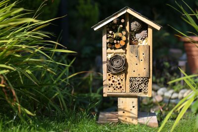 Wooden bug hotel. Credit: MarjanCermelj: Shutterstock