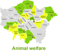 London Borough progress on animal welfare