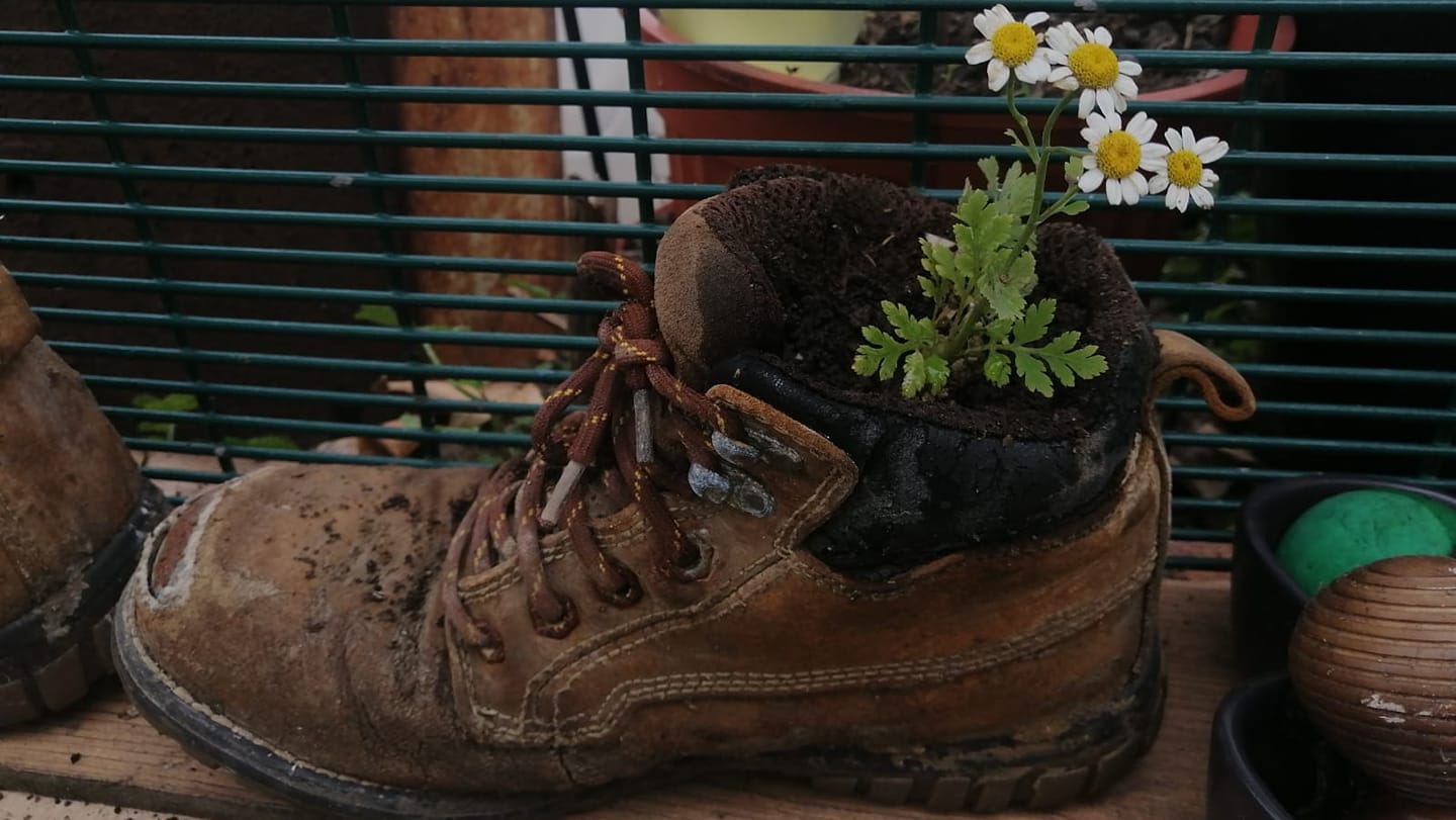 From root to plate: setting up a community growing space amidst a ...