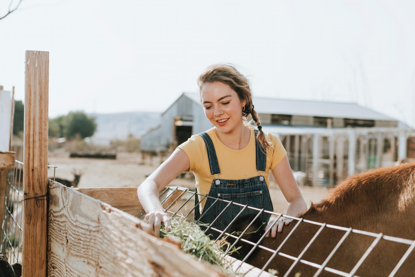 Third of teenagers would consider a career in farming | Sustain