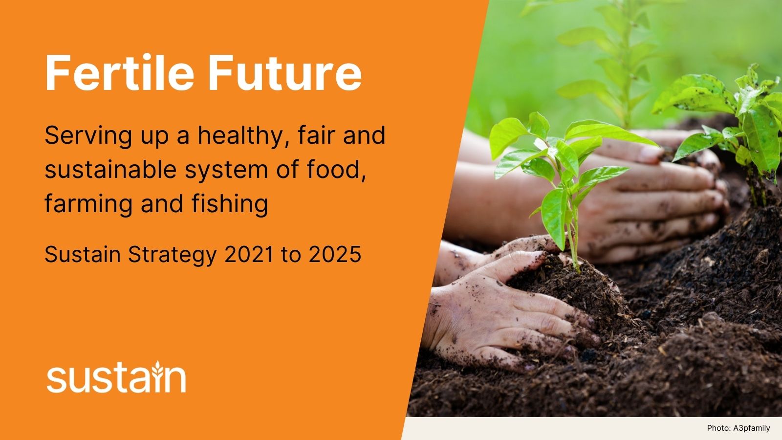 Fertile Future the Sustain alliance's strategy for 2021 to 2025 Sustain
