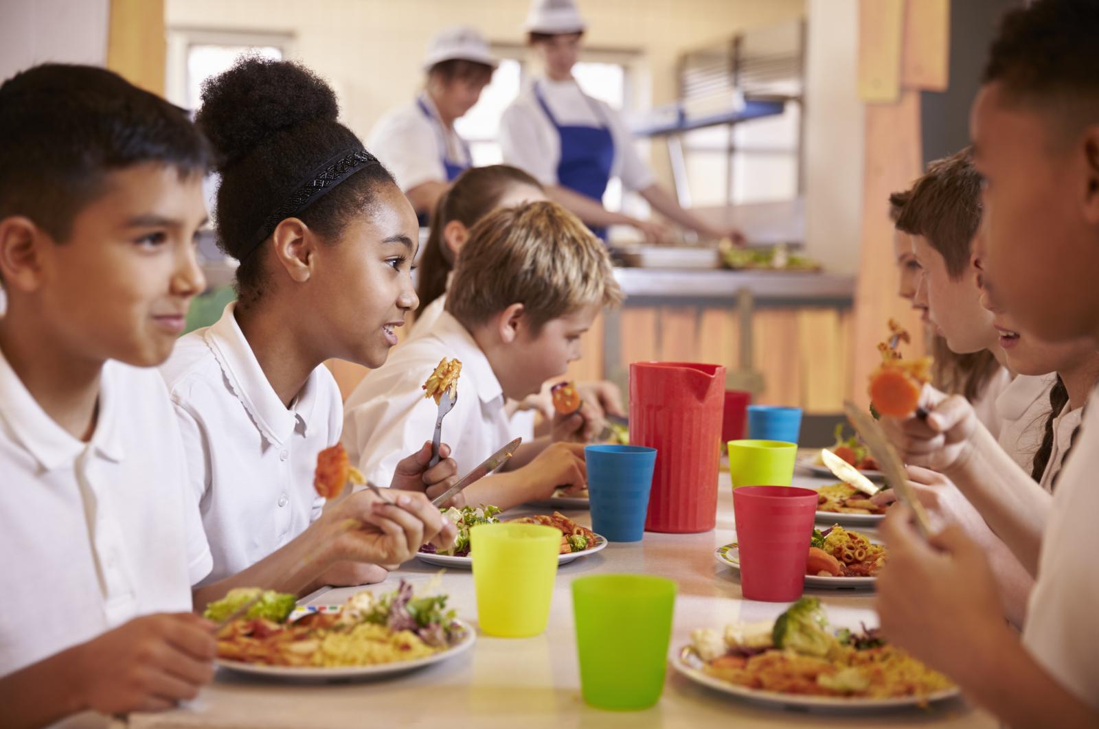 9 In 10 Parents Say Government Should Provide Healthy Free School Meals 